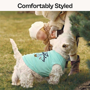 Camiseta para Mascotas Hecha en Fábrica, Venta al por Mayor, Ropa para Perros de Color Sólido, Ropa para Gatos de Algodón Premium, Ropa Ligera y Flexible para Cachorros - Product Image 3