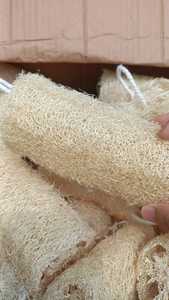 Éponge de loofah premium naturelle à base de plantes, éponge de bain exfoliante, éponge de douche en maille séchée, gourde pour le nettoyage de la cuisine, vente en gros - Product Image 2