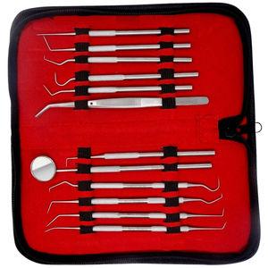 Oferta Especial: Set de Instrumentos Manuales de Acero Personalizables para Levantamiento de Senos, Consumibles Dentales para Odontología y Cuidado Bucal - Product Image 1