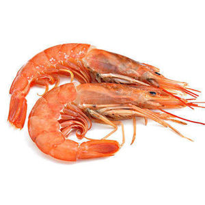 Camarones Crudos Congelados de Alta Calidad, Fabricación en Fábrica, Camarones Congelados de Primera Calidad al por Mayor, Camarones/Frutos del Mar Frescos a Precio Económico - Product Image 1