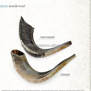 Shofar en corne naturelle, fait main, de couleur et de forme naturelles, excellent pour les usages religieux juifs, style animal marin - Product Image 3