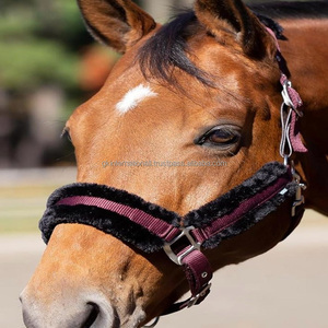 Vente en gros de licou d'équitation en nylon de qualité supérieure produits équins pour chevaux collier de tête de bride - Product Image 6