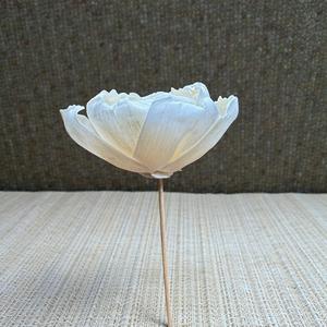 Fleurs en bois de Sola VADEE faites à la main, durables, classiques, couleur ivoire, pivoine, 8,5 cm, tige en fibre de plantes de Sésbanie, de Thaïlande - Product Image 4