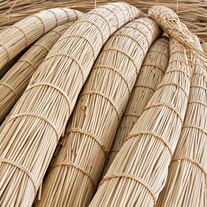 Materiales de Ratán Crudo de Vietnam/ Núcleo de Ratán Blanqueado - Núcleo de Ratán/ Sra. Alina - Product Image 3