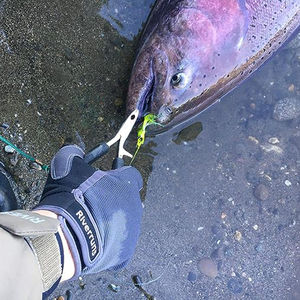 Guantes de Pesca Protectores de Medio Dedo Band of Brother, para Hombres y Mujeres, Ideales para Kayak, Remo y Ciclismo - Product Image 6