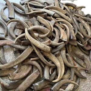 Alimento Masticable para Perros, el Mejor Cuerno de Búfalo Pulido para Masticar, Producto de Cuerno de Búfalo Elegante en Oferta de Barkah Star - Product Image 6