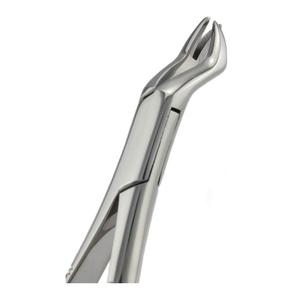 Stainless Steel Adult Dental Forceps 10pcs Extracting Forcep Tooth Extracting Pliers Dental Surgical <b>Instrument</b> By Grip Surgical - Product Image 5