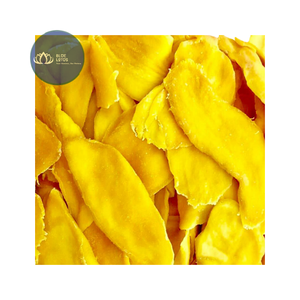 [DISPONIBLE] |   Tranches de mangue séchées moelleuses, collation à mâcher |   Fruits secs tropicaux pour la distribution au détail en supermarché au Vietnam - Product Image 1
