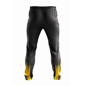 Heat-Transfer Printed Cricket Uniform Custom Team Wear Jersey Trouser Set with Short Sleeves 100% Polyester - Product Image 5