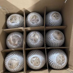 Premium Grade Vietnam Dry Semi Husk Coconut Export Standard Fresh Mature Tropical Fruit Wholesale Bulk Supply Product Box - Product Image 4