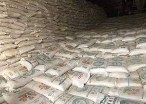Urea 46%N en Perlas y Fertilizante de Urea 46% Nitrógeno - Grado Industrial 99% Pureza, Fertilizante Agrícola de Liberación Rápida en Venta - Product Image 6