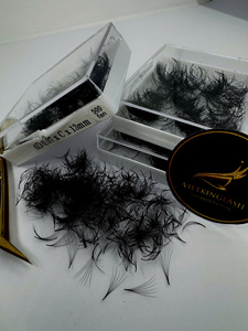 Fournisseur en gros d'extensions de cils CC/DD/M/L Curl 3D 4D 6D 8D, bouquets préfabriqués, cheveux synthétiques noirs mats de haute qualité - Product Image 6