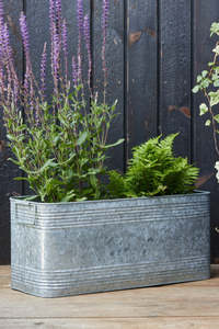 High Quality Solid Metal Oval Shape Galvanized Rustic Outdoor Garden Decorative <b>Planters</b> Pots Set - Product Image 2