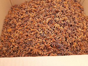 Anis étoilé naturel mélangé séché de qualité supérieure pour épices/potpourri/huiles essentielles, prix abordable - Product Image 5