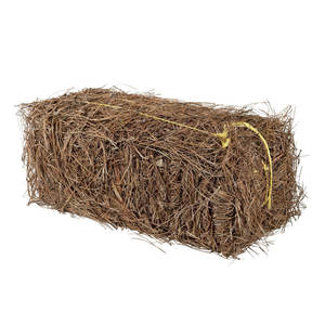 Bale de paille de pin à longues feuilles fournitures d'artisanat naturel pour les projets de décoration intérieure et d'aménagement paysager et de terrasse de bricolage - Product Image 1