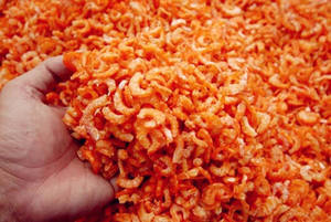 Crevettes séchées sans tête de haute qualité, emballées sous vide - Fabriquées au Vietnam - Vente chaude - John - Product Image 4