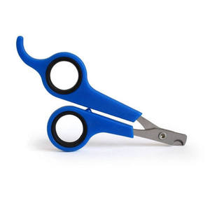 Hot Selling Stainless Steel <b>Scissors</b> for Cats Pet Nail Shear with Plastic Handle - Product Image 1