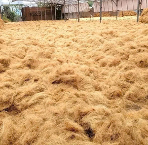 Fibres de coco naturelles, déchets agricoles, paille de coco en vrac, durée de conservation de 2 ans, Vietnam - Product Image 2