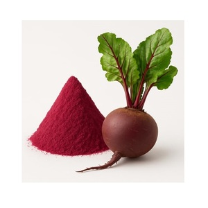 Poudre de Betterave de Haute Qualité pour la Santé Cardiaque et l'Amélioration de l'Endurance Idéale pour les Boissons Fitness et le Régime Quotidien - Product Image 4
