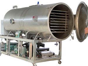 Máquina de Liofilización Automática Comercial de Acero Inoxidable con Control PLC y Motor, Modelo WHFD-100, para Procesamiento de Alimentos - Product Image 3