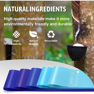 Set di Fasce di Resistenza Multicolore a 5 Livelli, Bande per Esercizi ad Alta Resistenza per Allenamento - Product Image 3