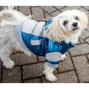Chaqueta de Esquí Deportiva Vintage para Mascotas Aspen, Ropa Elegante para Mascotas - Product Image 5