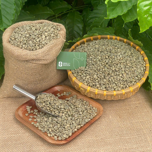 Café Sinh Nguyen, Granos de Arábica Verdes Sin Tostar, Alta Calidad, Procesado con Miel, Vietnam, 60 kg/bolsa, 1-1.5% Cafeína, Natural - Product Image 4