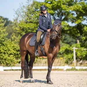 Forro de tela para silla de montar de doma ecuestre con diseño ODM, logotipo personalizado, alta calidad, transpirable, de secado rápido, multiusos - Product Image 5