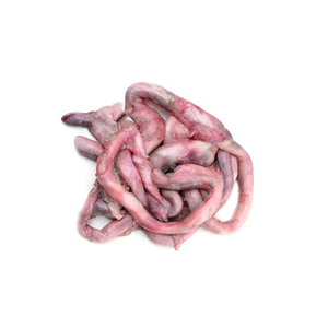 Pénis de bœuf disponible, nettoyé, séché et congelé pour l'alimentation des animaux et humaine. - Product Image 4