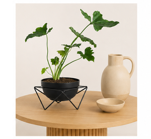 Macetero Metálico Moderno y Minimalista con Soporte Geométrico de Hierro, Estilo Interior, Maceta Redonda para Decoración de Sala de Estar o Escritorio - Product Image 4