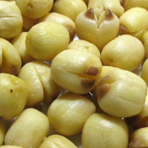 Organic Dried Lotus Seeds Bulk Supply for Nutritional Supplement Use - Product Image 1
