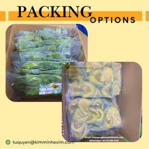 Avocat entier surgelé sous vide IQF304 du Vietnam, marque KMI, en vrac, fournisseur en gros, durée de conservation de 24 mois, 1 kg - Product Image 6