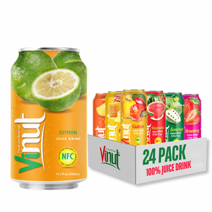 Boisson au jus de citron rafraîchissante 330ml boisson Vietnam prix usine sans sucre marque privée OEM/ODM échantillon gratuit - Product Image 1