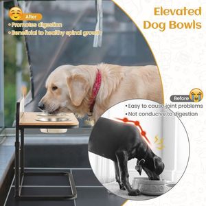 Comedero Elevado para Mascotas, para Gatos y Perros, Categoría de Productos de Platos y Comederos de Alta Gama - Product Image 3