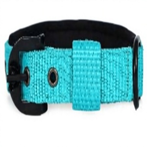 Elite Handmade Nylon Dog <b>Collar</b> Crafted for Luxury & Durability with Premium Hardware from Divine International - Product Image 1