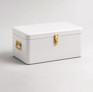 Coffre de rangement moderne en métal avec design pliable, construction en acier durable, poignées pour l'organisation quotidienne des vêtements - Product Image 1