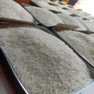 Arroz Súper Jazmín en Oferta, Arroz Jazmín de Grano Largo, Arroz Parboiled, Arroz Jazmín / Arroz Aromático de Grano Largo / Arroz Blanco EN VENTA - Product Image 4