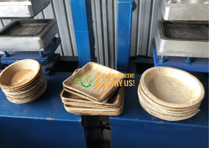 Assiettes en feuilles de palmier écologiques Eco2go Vietnam - Vaisselle biodégradable et compostable - Product Image 3