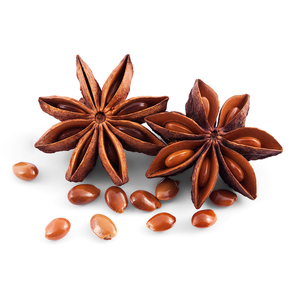 Étoile d'anis aromatique d'automne : ingrédient à caractère traditionnel et à l'attrait visuel exceptionnel pour la fourniture en vrac - Product Image 5