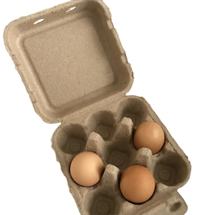 Çevre dostu biyobozunur kalıp özelleştirilmiş yüksek koruyucu ıslak kuru basın geri dönüşüm Bagasse makinesi hamuru durumda ambalaj yumurta kutu tepsisi