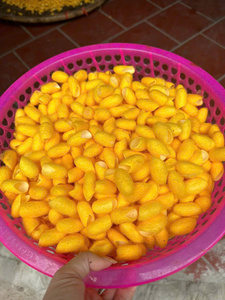 Silkworm Cocoon Premium Raw White Yellow Fiber para textiles Silkworm Cocoon Craft Decoration Vietnam Direct Export - Product Image 2