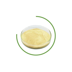 Poudre de peptides d'élastine de haute qualité avec une disponibilité en vrac fiable prête à l'exportation - Product Image 5