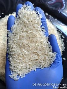 ซื้อข้าวขาวเมล็ดยาว IR-64 บรรจุภัณฑ์ขนาดตามสั่งสำหรับทำอาหาร ราคาถูกที่สุดจากผู้ส่งออกอินเดีย - Product Image 4