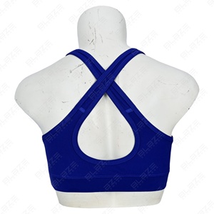 Blaze Fight Wear Sujetadores deportivos personalizados en Spandex/Nylon Oferta a medida Se adapta a pares con cintura elástica Leggings de yoga Perfectamente - Product Image 4