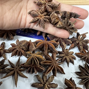 Anís estrellado vietnamita premium, entero, seco, sin tallo, de alto aroma, especia natural, a granel, venta al por mayor, grado alimenticio, exportación directa/ ANNA DO - Product Image 5