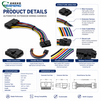 Arnés de Cableado de Extensión Multipin Personalizado, Conector de Plástico Negro con Bloqueo, Cable de Extensión Automotriz con Código de Color