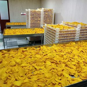 Natural Dried Mango Slices Soft Chewy Tropical Fruit Snack Bulk Wholesale & Private <b>Label</b> Available - Product Image 5