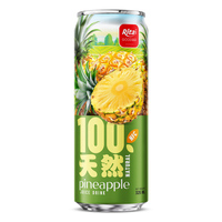 325ml blikjes groothandel rode druivensap puree drankenfabrikant leverancier fruitsap Rita Company OEM ODM