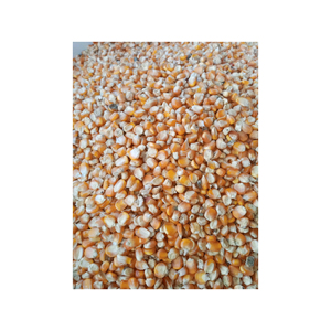 Offre Exclusive : Maïs Jaune de Qualité Supérieure, Grains de Maïs Conformes aux Normes d'Exportation - Product Image 6