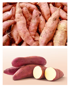 PATATAS DULCES CONGELADAS AL POR MAYOR DIRECTAMENTE DE LA FÁBRICA, PATATAS DULCES CONGELADAS NATURALMENTE, NUEVA COSECHA. - Product Image 3